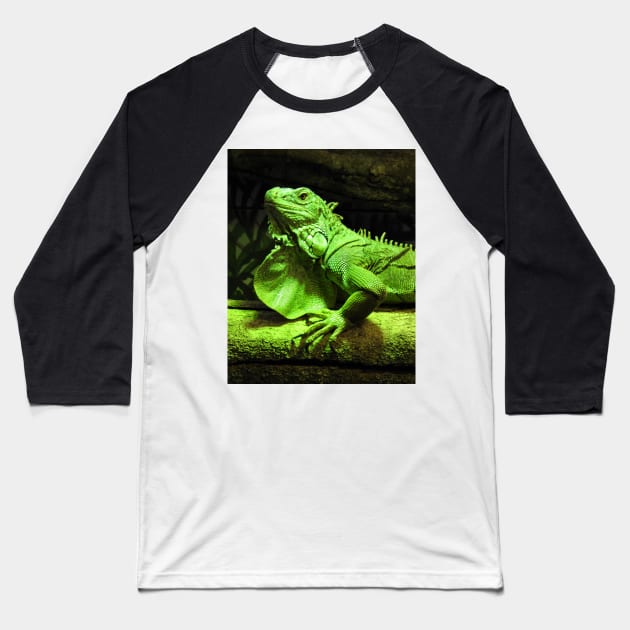 Green Iguana Baseball T-Shirt by kirstybush